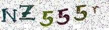 NZ555r