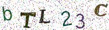 bTL23C