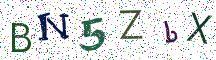 BN5ZbX