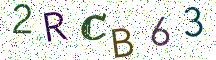 2RCB63
