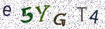 e5YGT4