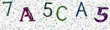 7A5CA5