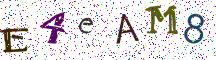 E4eAM8