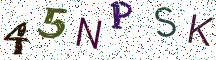 45NPSK