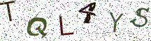TQL4YS