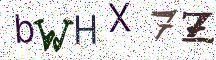 bWHX7Z