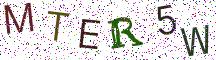 MTER5W