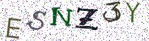 ESNZ3Y