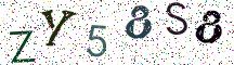 ZY58S8