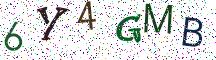 6Y4GMB