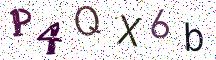 P4QX6b