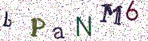 bPaNM6