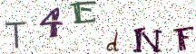 T4EdNF