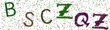 BSCZQZ