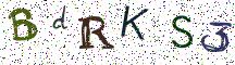 BdRKS3