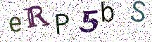 eRP5bS
