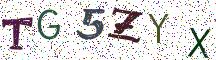 TG5ZYX