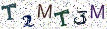 T2MT3M