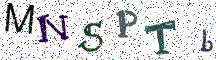 MNSPTb