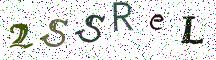 2SSReL