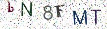 bN8FMT