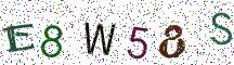 E8W58S