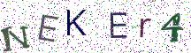 NEKEr4