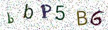 bbP5B6