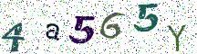 4a565Y