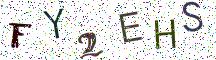 FY2EHS