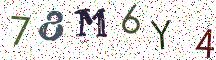 78M6Y4