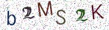 b2MS2K