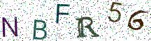 NBFR56