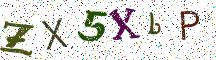 ZX5XbP