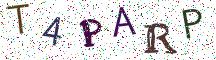 T4PARP