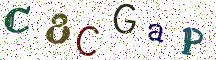 C8CGaP