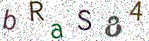 bRaS84