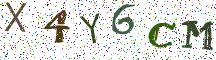 X4Y6CM