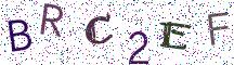 BRC2EF