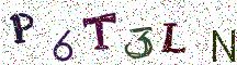 P6T3LN