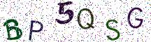 BP5QSG