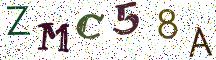 ZMC58A