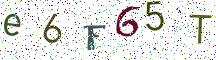 e6F65T