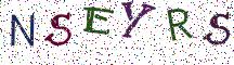NSEYRS