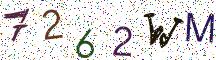 7262WM