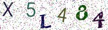 X5L484