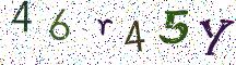 46r45Y