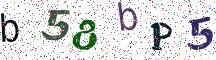 b58bP5