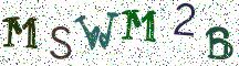 MSWM2B