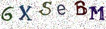 6XSeBM
